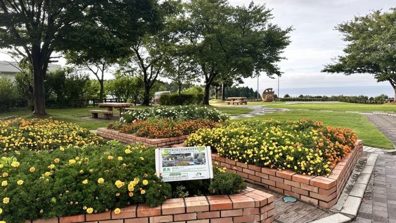 北陸自動車道　名立谷浜SA（下り）の花壇