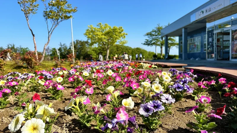 北陸自動車道　米山SA（上り）の花壇